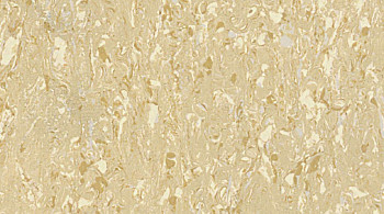 Линолеум Gerflor Mipolam Cosmo 2604 WHEAT фото 1 | FLOORDEALER